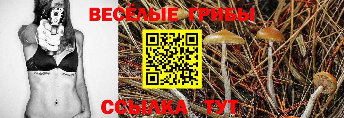 Галлюциногенные грибы прущие грибы  Вход с VPN  Ноябрьск 