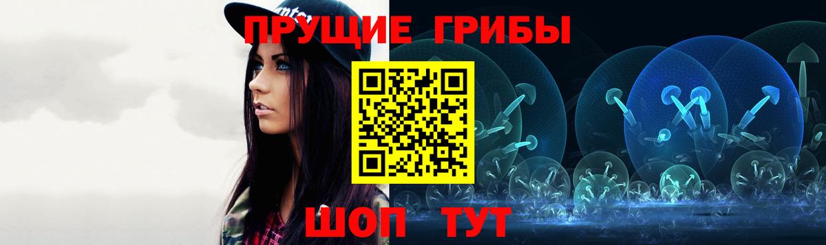 Псилоцибиновые грибы Psilocybe Ноябрьск